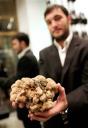 071128_truffle_vmed_10awidec.jpg